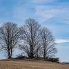 10-Mühlenwanderung Winter 2025