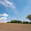 Weltstoa Wanderung Schwertberg - Sommer 2026