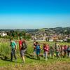Bauern- und Holzknechtrunde Wilhering - Sommer 2025