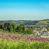 Bauern- und Holzknechtrunde Wilhering - Sommer 2025