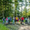 Bauern- und Holzknechtrunde Wilhering - Sommer 2025