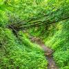 Bauern- und Holzknechtrunde Wilhering - Sommer 2025