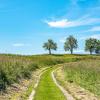 Bauern- und Holzknechtrunde Wilhering - Sommer 2025