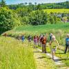 Bauern- und Holzknechtrunde Wilhering - Sommer 2025