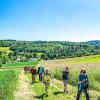 Bauern- und Holzknechtrunde Wilhering - Sommer 2025