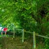 Bauern- und Holzknechtrunde Wilhering - Sommer 2025